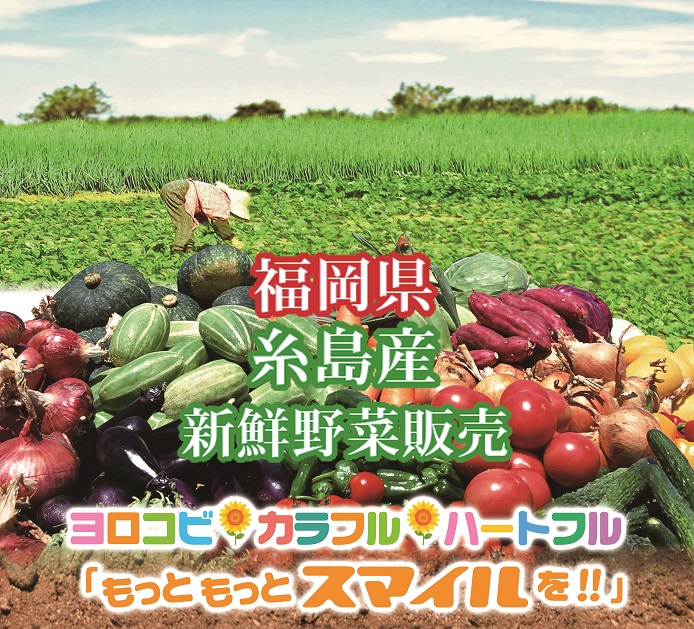 糸島の野菜通販 - ひまわりマーケット